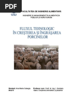 cresterea suinelor